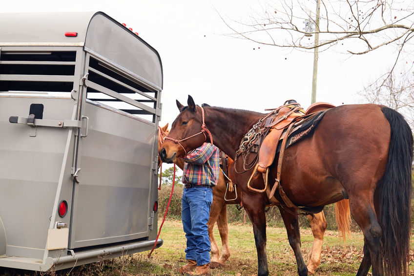 GPS Tracking for Horse Trailers Live View GPS Tracking Blog